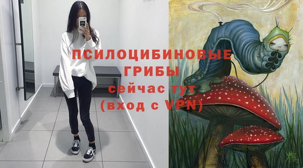 ALPHA PVP Алексин