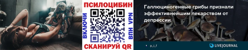 кракен маркетплейс  Нальчик  Галлюциногенные грибы ЛСД 