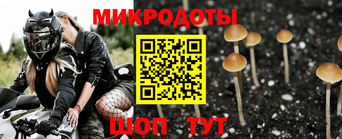 Галлюциногенные грибы MAGIC MUSHROOMS Нальчик