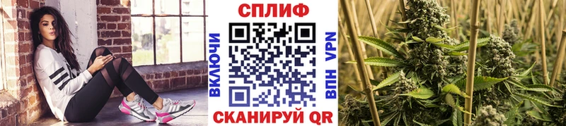 Канабис SATIVA & INDICA Нальчик